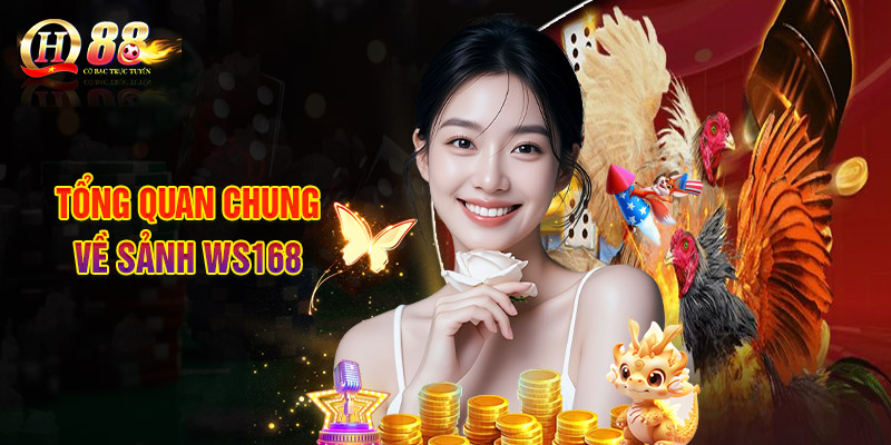 Tổng Quan Chung Về Sảnh Ws168