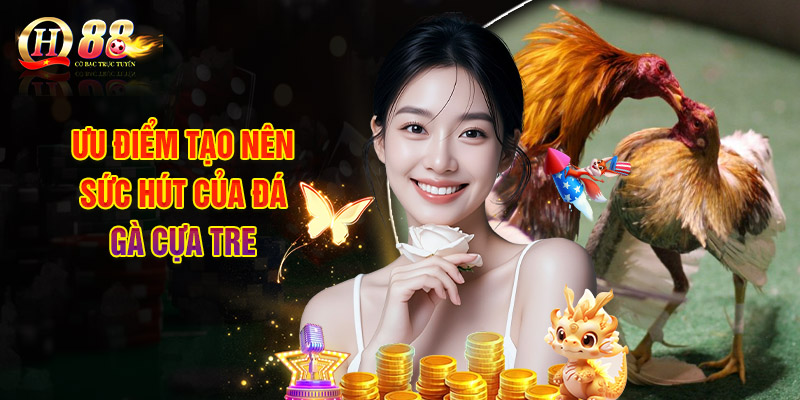 Ưu điểm tạo nên sức hút của đá gà cựa tre